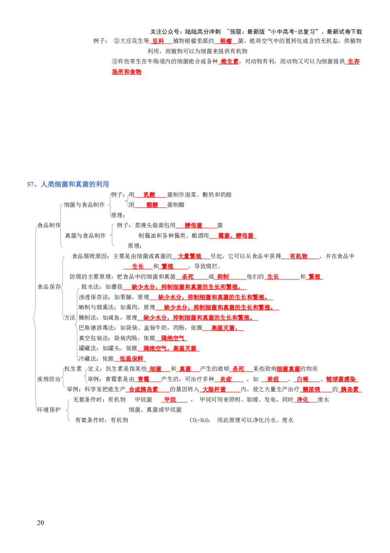 专题04生物圈中的人（背诵版）_02中考总复习（2026版更新中）_08-生物-中考总复习_2025中考复习资料_2025年中考生物知识梳理_专题04生物圈中的人_专题04生物圈中的人