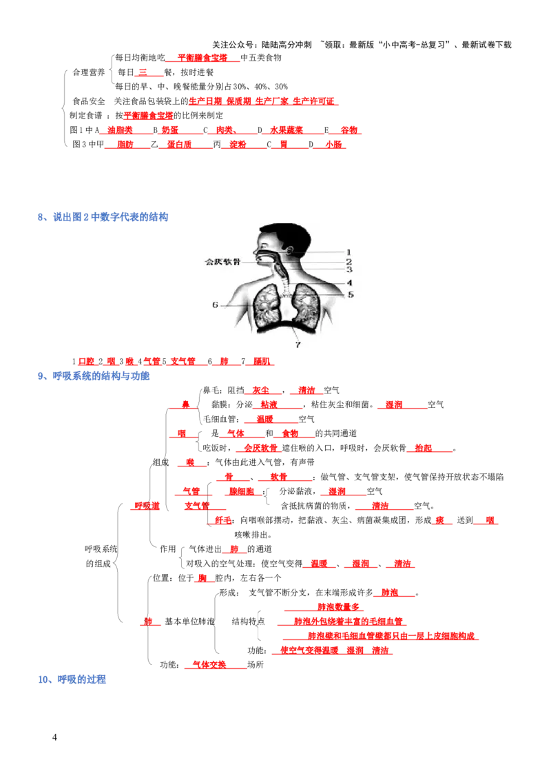 专题04生物圈中的人（背诵版）_02中考总复习（2026版更新中）_08-生物-中考总复习_2025中考复习资料_2025年中考生物知识梳理_专题04生物圈中的人_专题04生物圈中的人