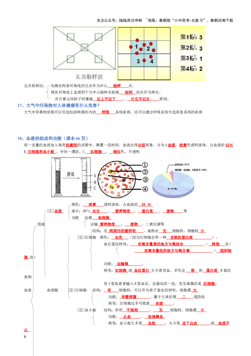 专题04生物圈中的人（背诵版）_02中考总复习（2026版更新中）_08-生物-中考总复习_2025中考复习资料_2025年中考生物知识梳理_专题04生物圈中的人_专题04生物圈中的人