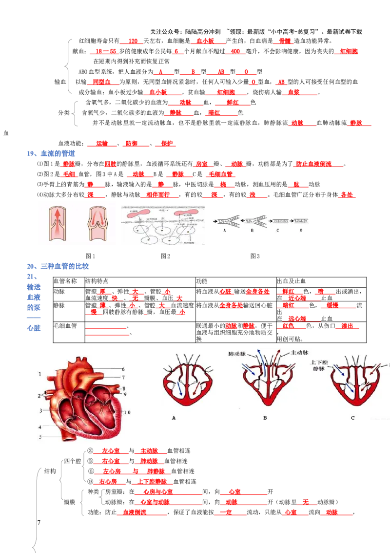 专题04生物圈中的人（背诵版）_02中考总复习（2026版更新中）_08-生物-中考总复习_2025中考复习资料_2025年中考生物知识梳理_专题04生物圈中的人_专题04生物圈中的人