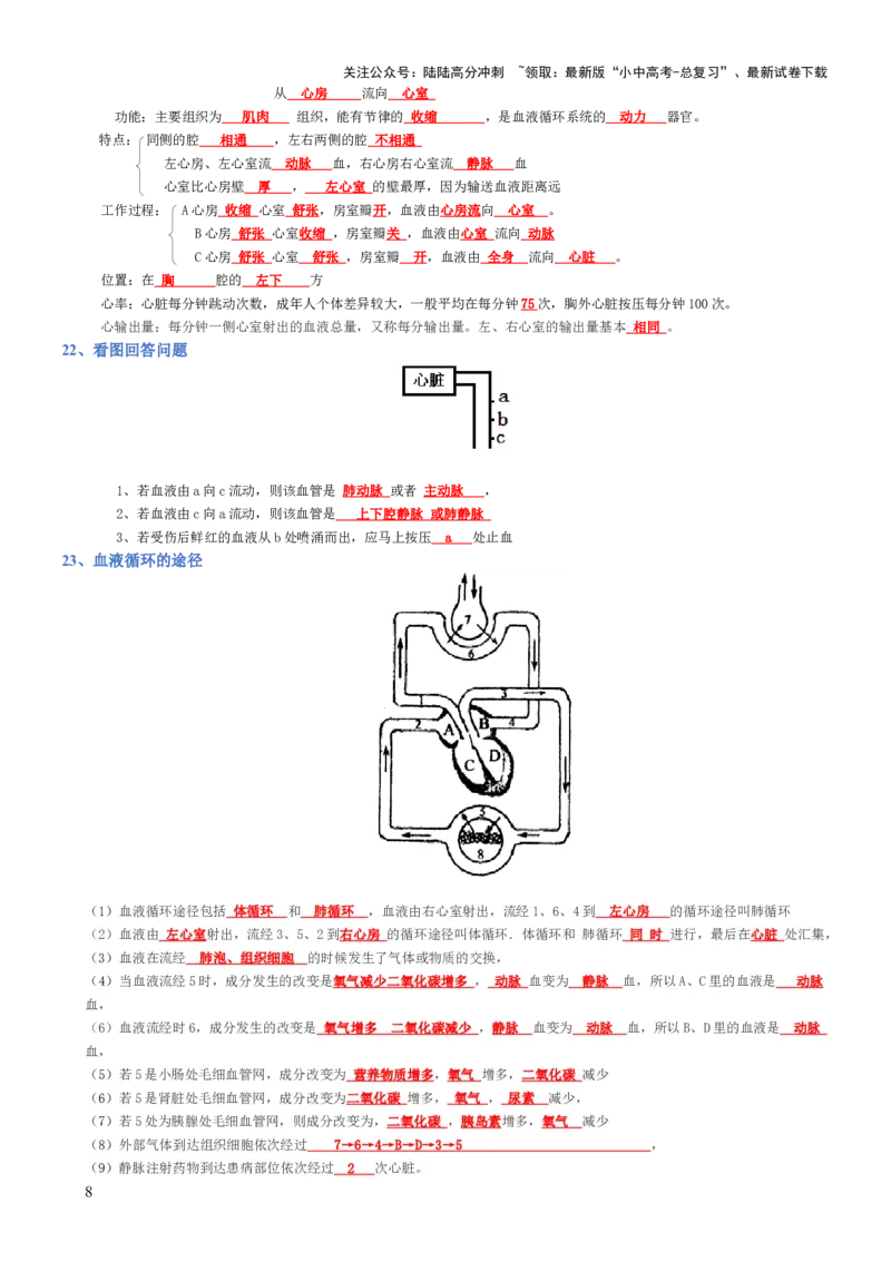 专题04生物圈中的人（背诵版）_02中考总复习（2026版更新中）_08-生物-中考总复习_2025中考复习资料_2025年中考生物知识梳理_专题04生物圈中的人_专题04生物圈中的人