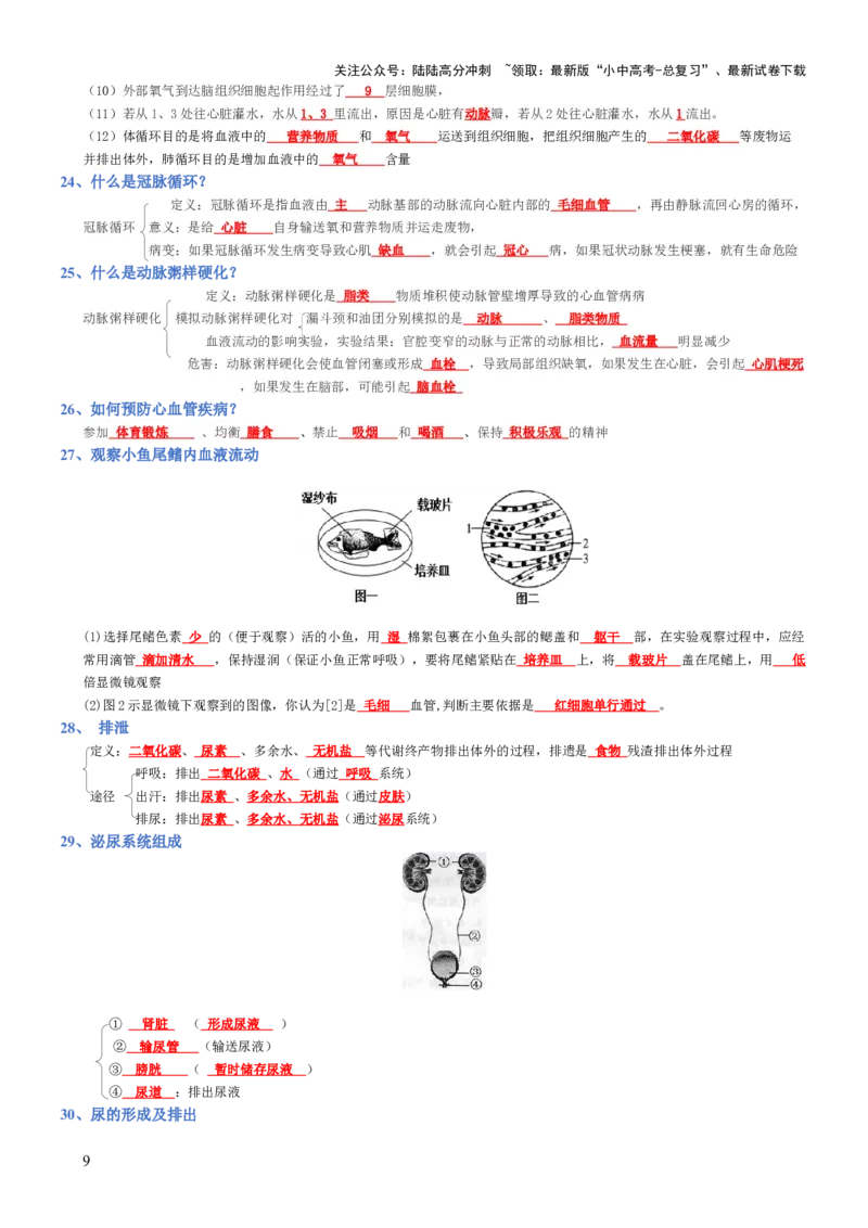 专题04生物圈中的人（背诵版）_02中考总复习（2026版更新中）_08-生物-中考总复习_2025中考复习资料_2025年中考生物知识梳理_专题04生物圈中的人_专题04生物圈中的人