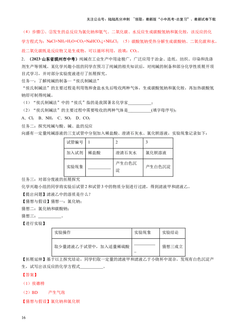 专题08盐化肥（练习）-2024年中考化学一轮复习讲练测（全国通用）（解析版）_02中考总复习（2026版更新中）_05-化学-中考总复习_2024年中考复习资料_一轮复习资料