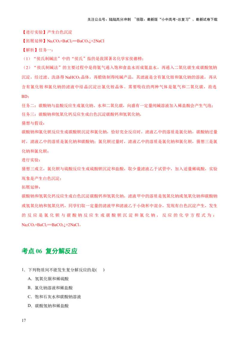专题08盐化肥（练习）-2024年中考化学一轮复习讲练测（全国通用）（解析版）_02中考总复习（2026版更新中）_05-化学-中考总复习_2024年中考复习资料_一轮复习资料