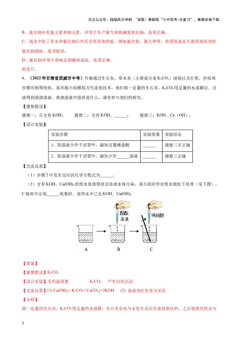 专题08盐化肥（练习）-2024年中考化学一轮复习讲练测（全国通用）（解析版）_02中考总复习（2026版更新中）_05-化学-中考总复习_2024年中考复习资料_一轮复习资料