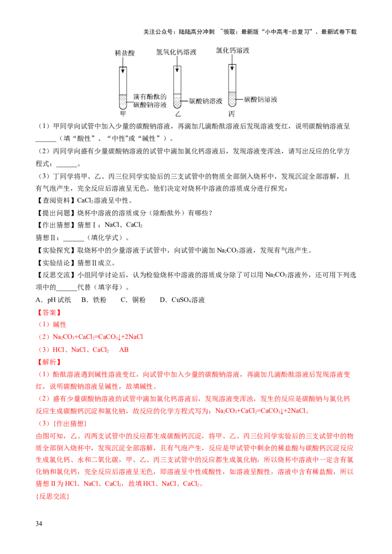 专题08盐化肥（练习）-2024年中考化学一轮复习讲练测（全国通用）（解析版）_02中考总复习（2026版更新中）_05-化学-中考总复习_2024年中考复习资料_一轮复习资料