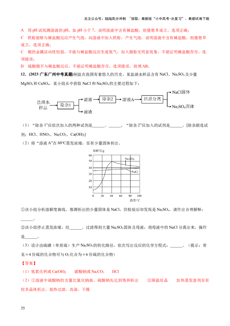 专题08盐化肥（练习）-2024年中考化学一轮复习讲练测（全国通用）（解析版）_02中考总复习（2026版更新中）_05-化学-中考总复习_2024年中考复习资料_一轮复习资料