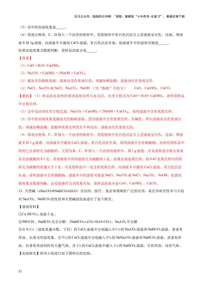 专题08盐化肥（练习）-2024年中考化学一轮复习讲练测（全国通用）（解析版）_02中考总复习（2026版更新中）_05-化学-中考总复习_2024年中考复习资料_一轮复习资料