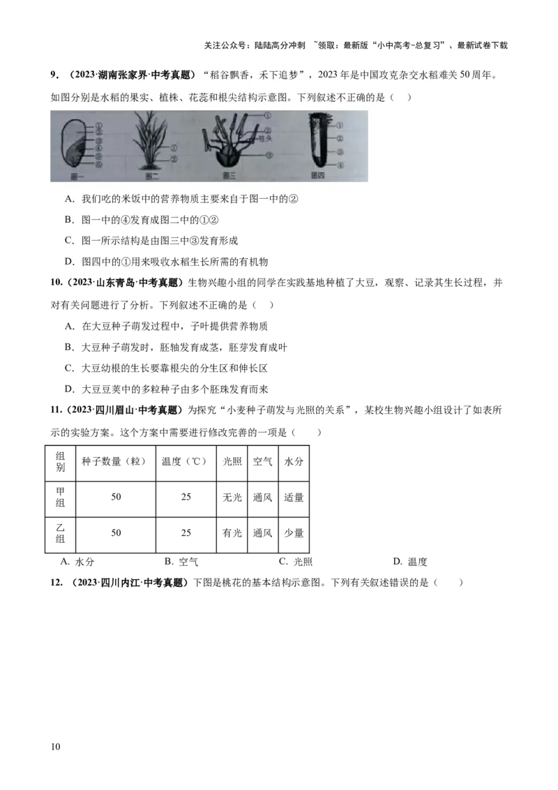 专题05被子植物的一生（练习）（原卷版）_02中考总复习（2026版更新中）_08-生物-中考总复习_2024年中考复习资料_一轮复习_❤2024年中考生物一轮复习讲练测（全国通用）_练习