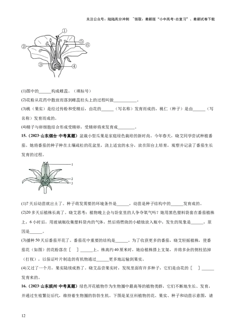 专题05被子植物的一生（练习）（原卷版）_02中考总复习（2026版更新中）_08-生物-中考总复习_2024年中考复习资料_一轮复习_❤2024年中考生物一轮复习讲练测（全国通用）_练习