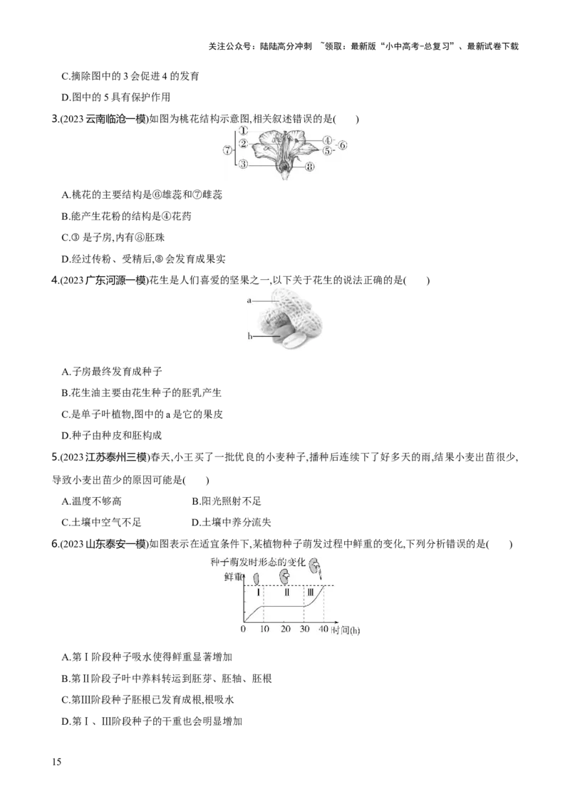 专题05被子植物的一生（练习）（原卷版）_02中考总复习（2026版更新中）_08-生物-中考总复习_2024年中考复习资料_一轮复习_❤2024年中考生物一轮复习讲练测（全国通用）_练习