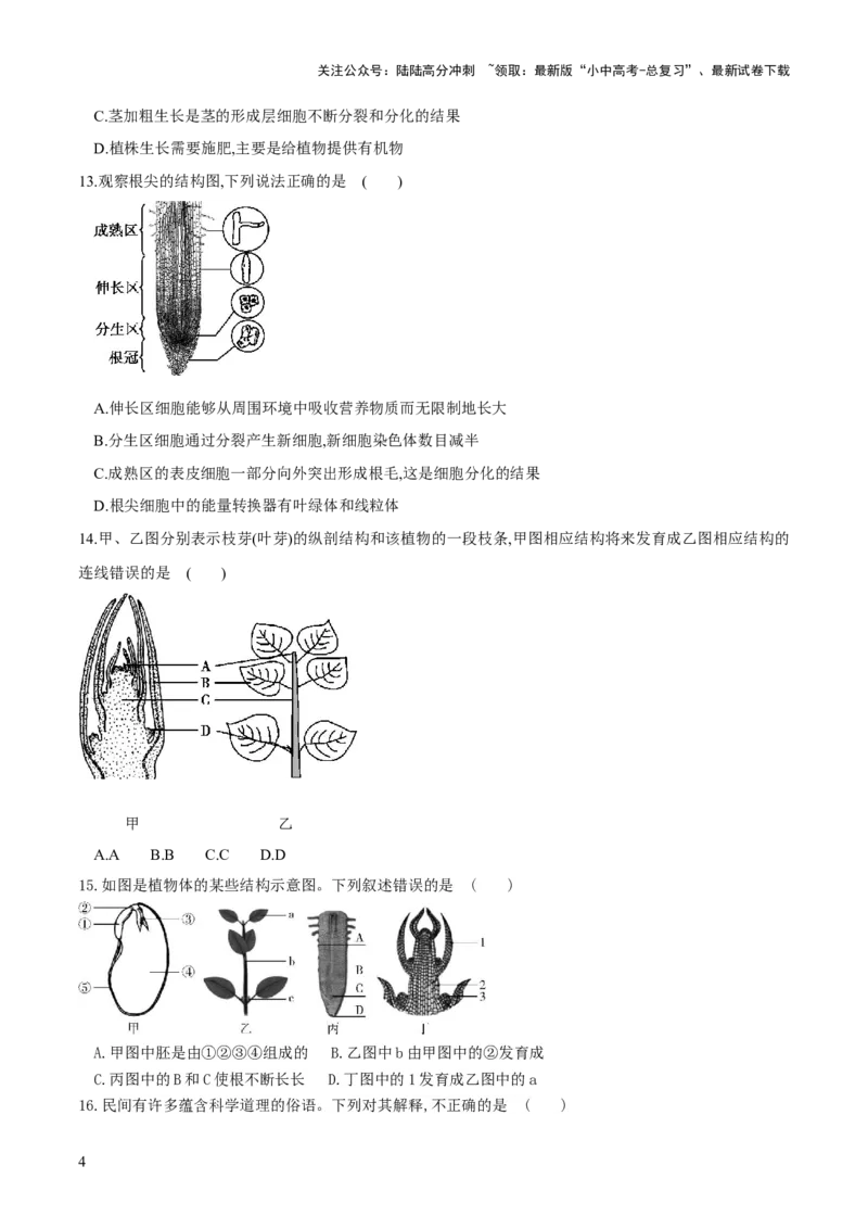 专题05被子植物的一生（练习）（原卷版）_02中考总复习（2026版更新中）_08-生物-中考总复习_2024年中考复习资料_一轮复习_❤2024年中考生物一轮复习讲练测（全国通用）_练习