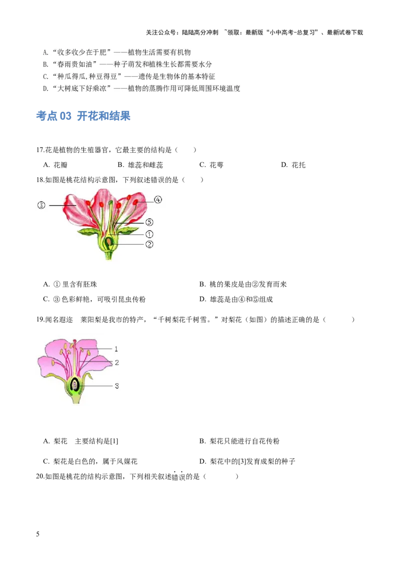 专题05被子植物的一生（练习）（原卷版）_02中考总复习（2026版更新中）_08-生物-中考总复习_2024年中考复习资料_一轮复习_❤2024年中考生物一轮复习讲练测（全国通用）_练习