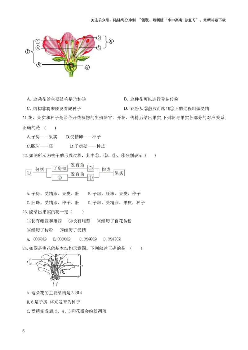专题05被子植物的一生（练习）（原卷版）_02中考总复习（2026版更新中）_08-生物-中考总复习_2024年中考复习资料_一轮复习_❤2024年中考生物一轮复习讲练测（全国通用）_练习