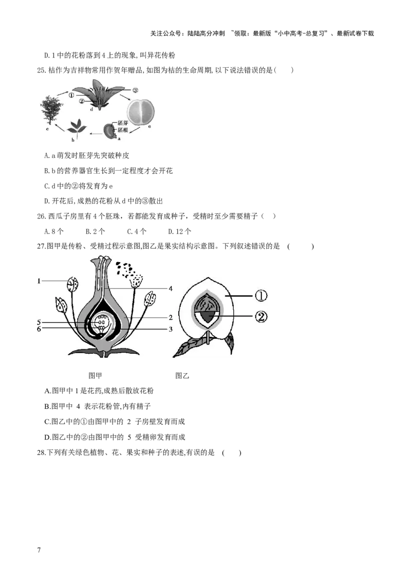 专题05被子植物的一生（练习）（原卷版）_02中考总复习（2026版更新中）_08-生物-中考总复习_2024年中考复习资料_一轮复习_❤2024年中考生物一轮复习讲练测（全国通用）_练习