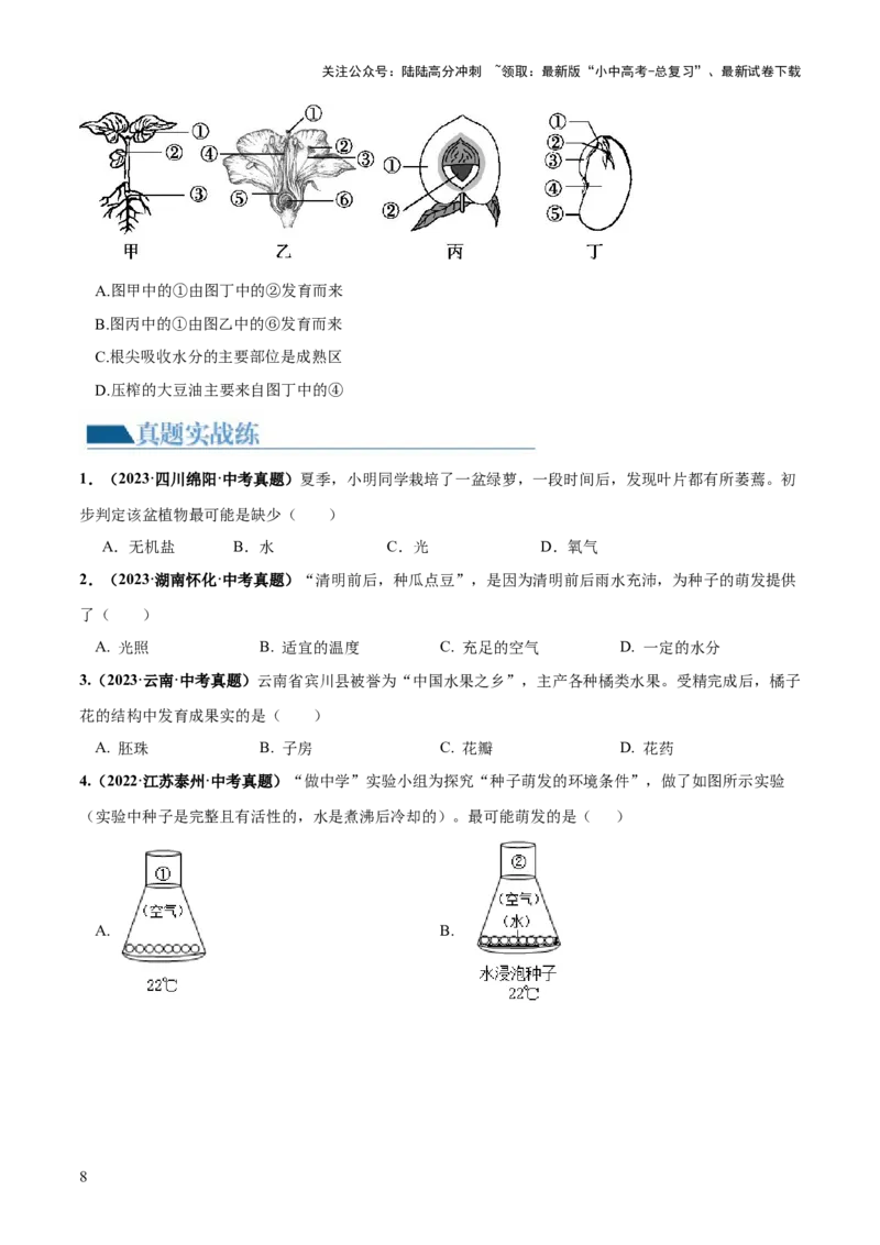 专题05被子植物的一生（练习）（原卷版）_02中考总复习（2026版更新中）_08-生物-中考总复习_2024年中考复习资料_一轮复习_❤2024年中考生物一轮复习讲练测（全国通用）_练习