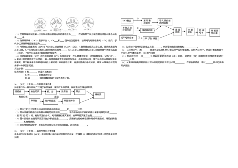 2012年高考真题生物（山东卷）（原卷版）_全国卷+地方卷_6.生物_1.生物高考真题试卷_2008-2020年_地方卷_山东高考生物08-21_山东高考生物_A3版