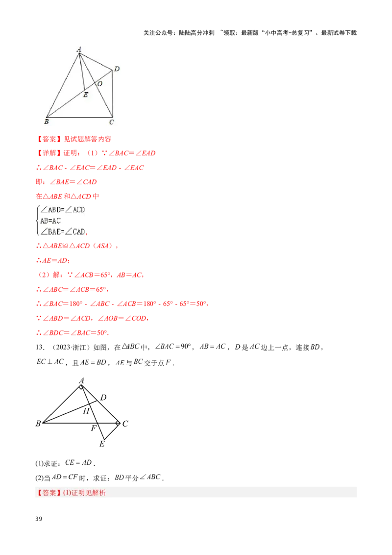 专题06三角形全等、相似及综合应用模型（解析版）_02中考总复习（2026版更新中）_02-数学-中考总复习_2024年中考复习资料_二轮复习资料_完2024年中考数学解题技巧模板