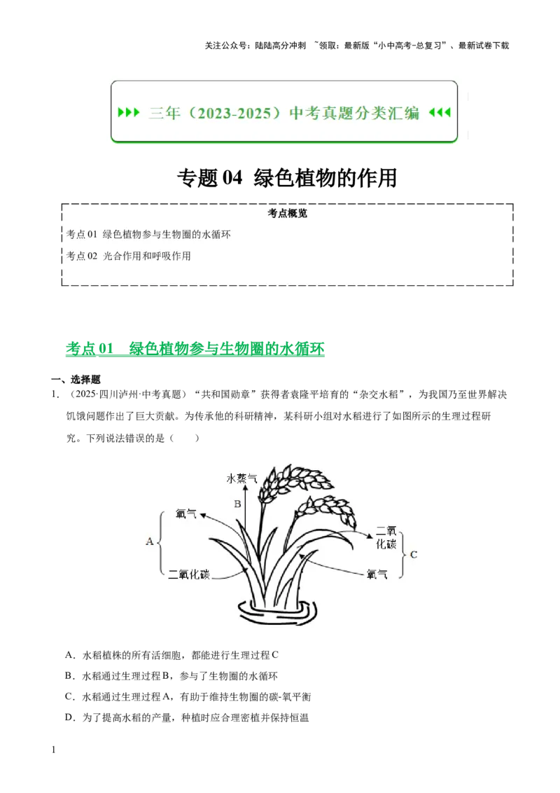 专题04绿色植物的作用（全国通用）（解析版）_02中考总复习（2026版更新中）_08-生物-中考总复习_2026年中考复习（更新中）