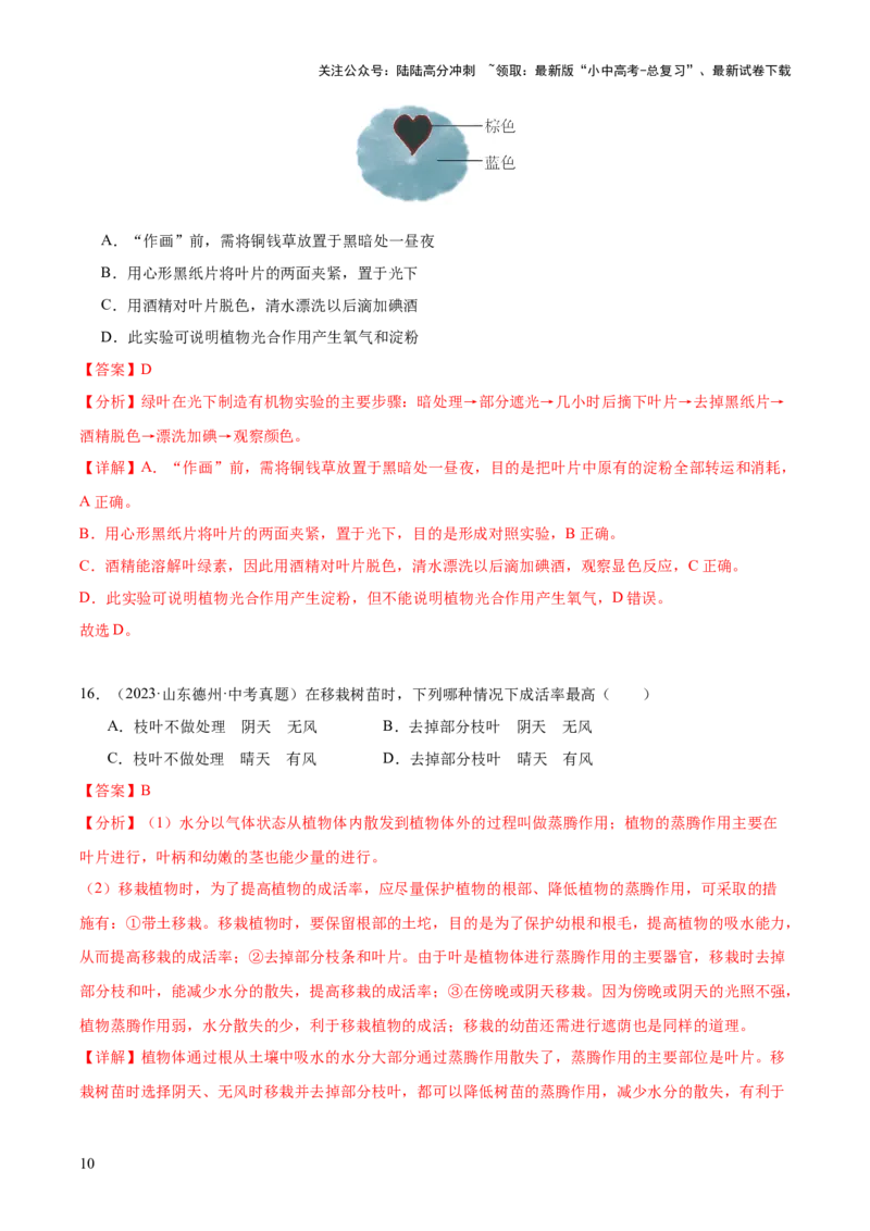 专题04绿色植物的作用（全国通用）（解析版）_02中考总复习（2026版更新中）_08-生物-中考总复习_2026年中考复习（更新中）