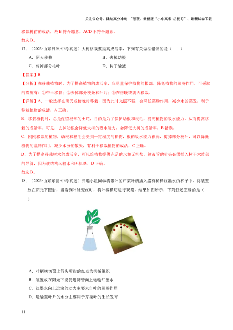 专题04绿色植物的作用（全国通用）（解析版）_02中考总复习（2026版更新中）_08-生物-中考总复习_2026年中考复习（更新中）