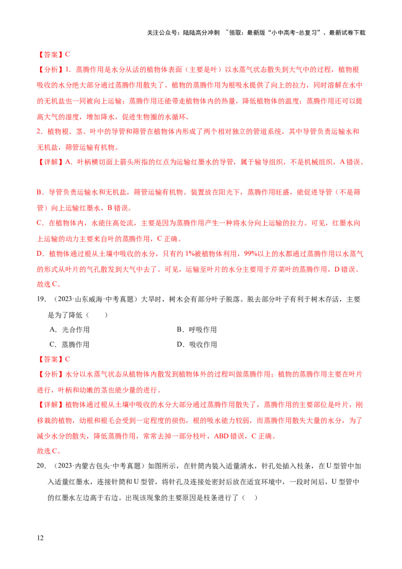 专题04绿色植物的作用（全国通用）（解析版）_02中考总复习（2026版更新中）_08-生物-中考总复习_2026年中考复习（更新中）