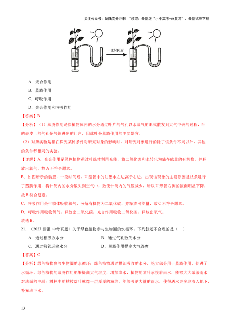 专题04绿色植物的作用（全国通用）（解析版）_02中考总复习（2026版更新中）_08-生物-中考总复习_2026年中考复习（更新中）