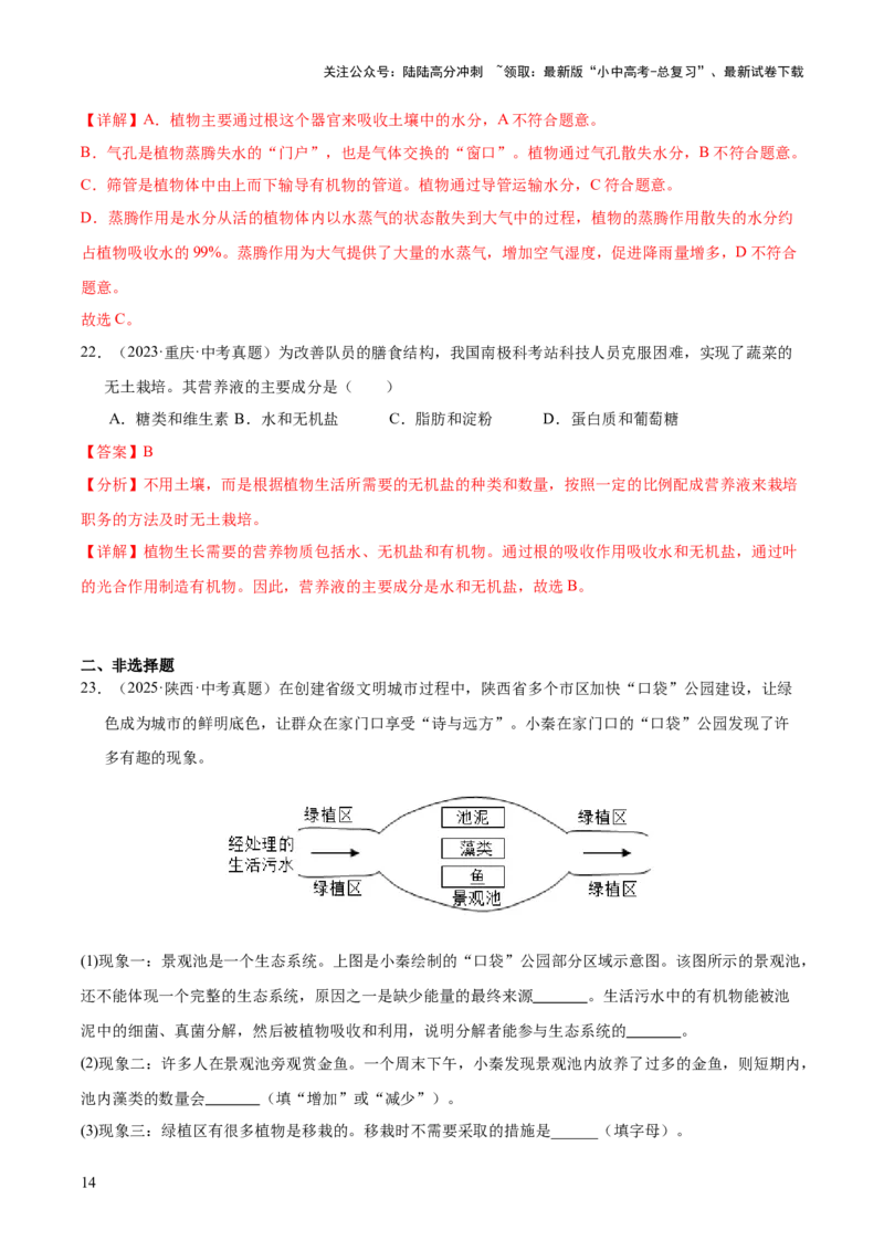专题04绿色植物的作用（全国通用）（解析版）_02中考总复习（2026版更新中）_08-生物-中考总复习_2026年中考复习（更新中）