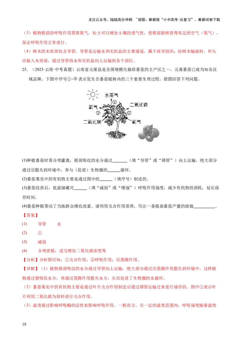 专题04绿色植物的作用（全国通用）（解析版）_02中考总复习（2026版更新中）_08-生物-中考总复习_2026年中考复习（更新中）