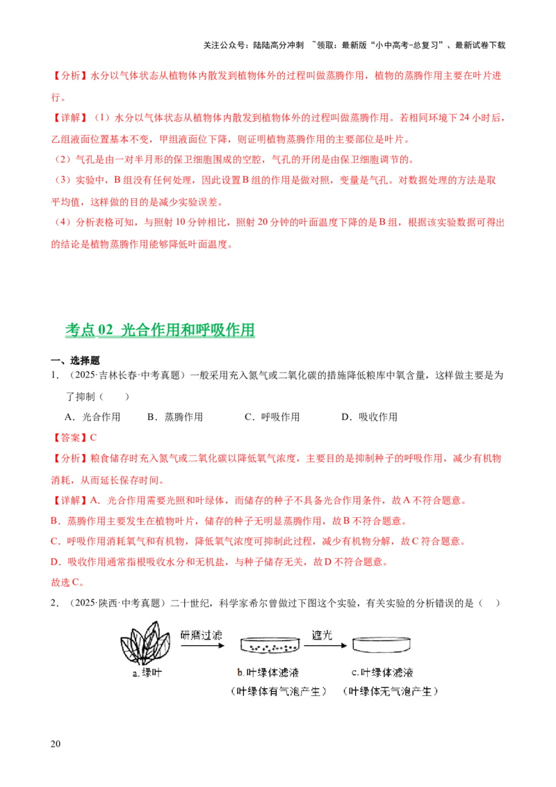 专题04绿色植物的作用（全国通用）（解析版）_02中考总复习（2026版更新中）_08-生物-中考总复习_2026年中考复习（更新中）