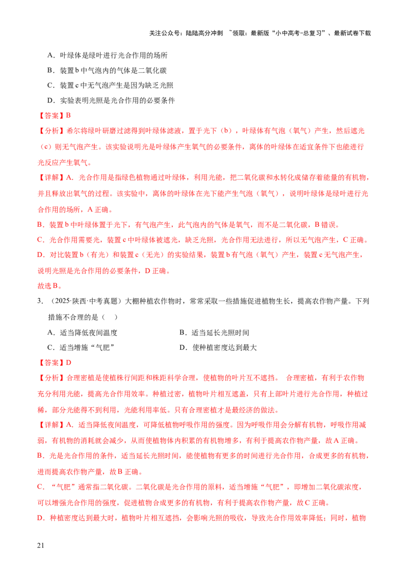 专题04绿色植物的作用（全国通用）（解析版）_02中考总复习（2026版更新中）_08-生物-中考总复习_2026年中考复习（更新中）