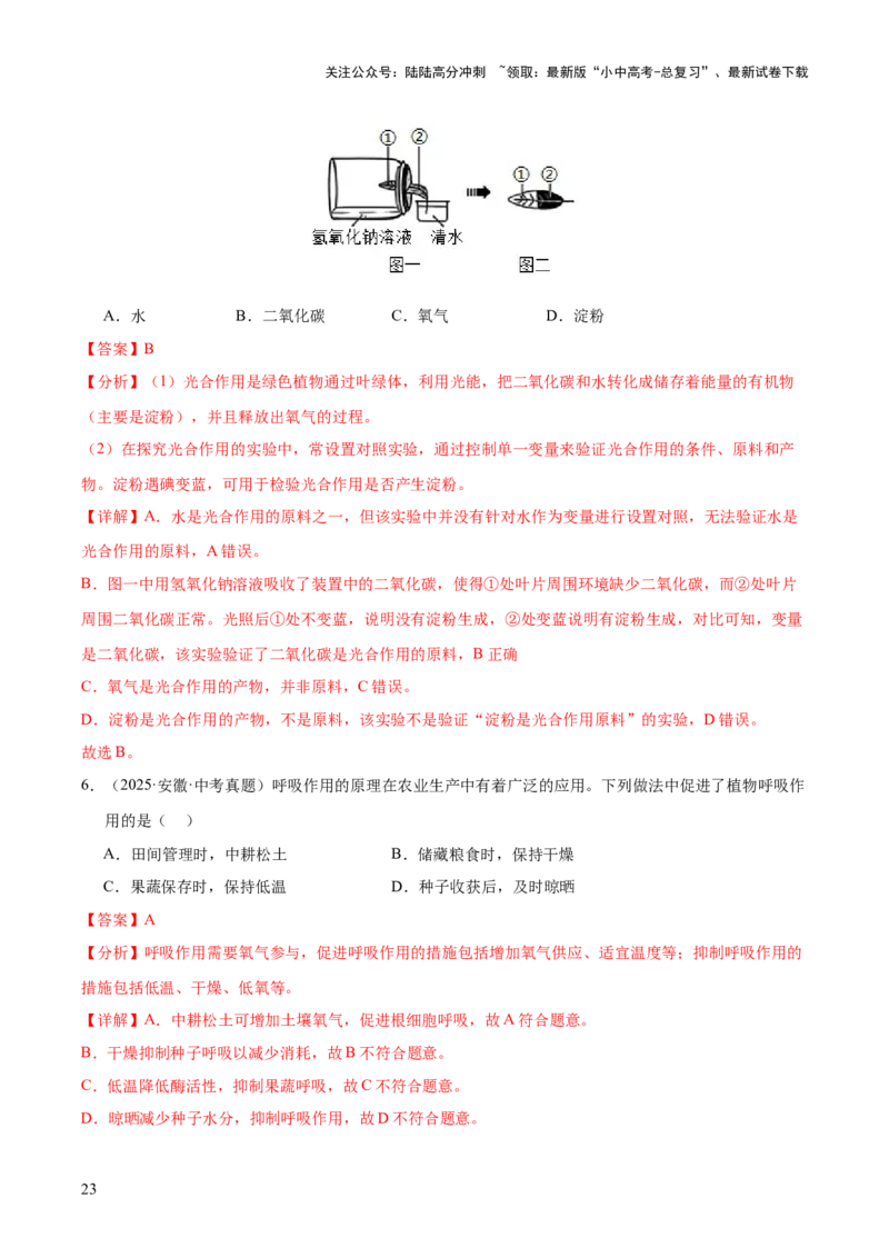 专题04绿色植物的作用（全国通用）（解析版）_02中考总复习（2026版更新中）_08-生物-中考总复习_2026年中考复习（更新中）