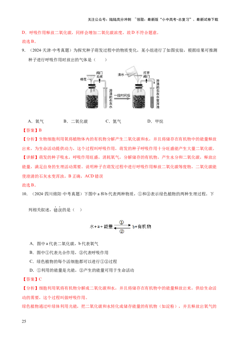 专题04绿色植物的作用（全国通用）（解析版）_02中考总复习（2026版更新中）_08-生物-中考总复习_2026年中考复习（更新中）