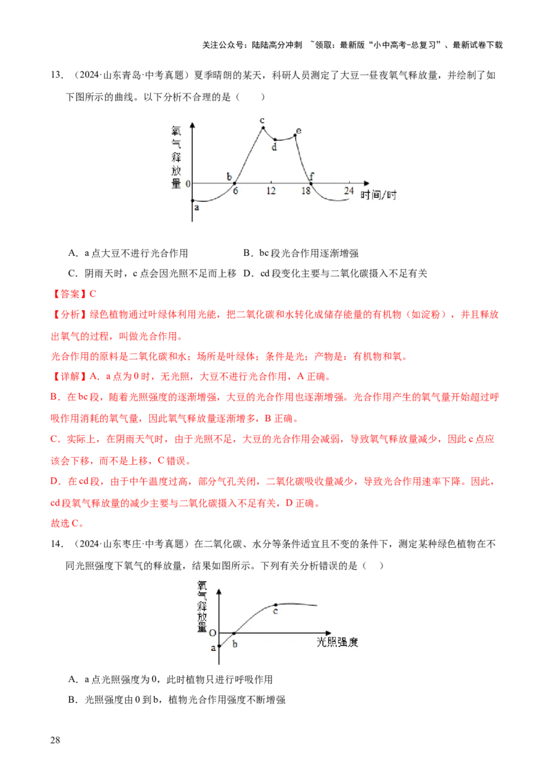 专题04绿色植物的作用（全国通用）（解析版）_02中考总复习（2026版更新中）_08-生物-中考总复习_2026年中考复习（更新中）