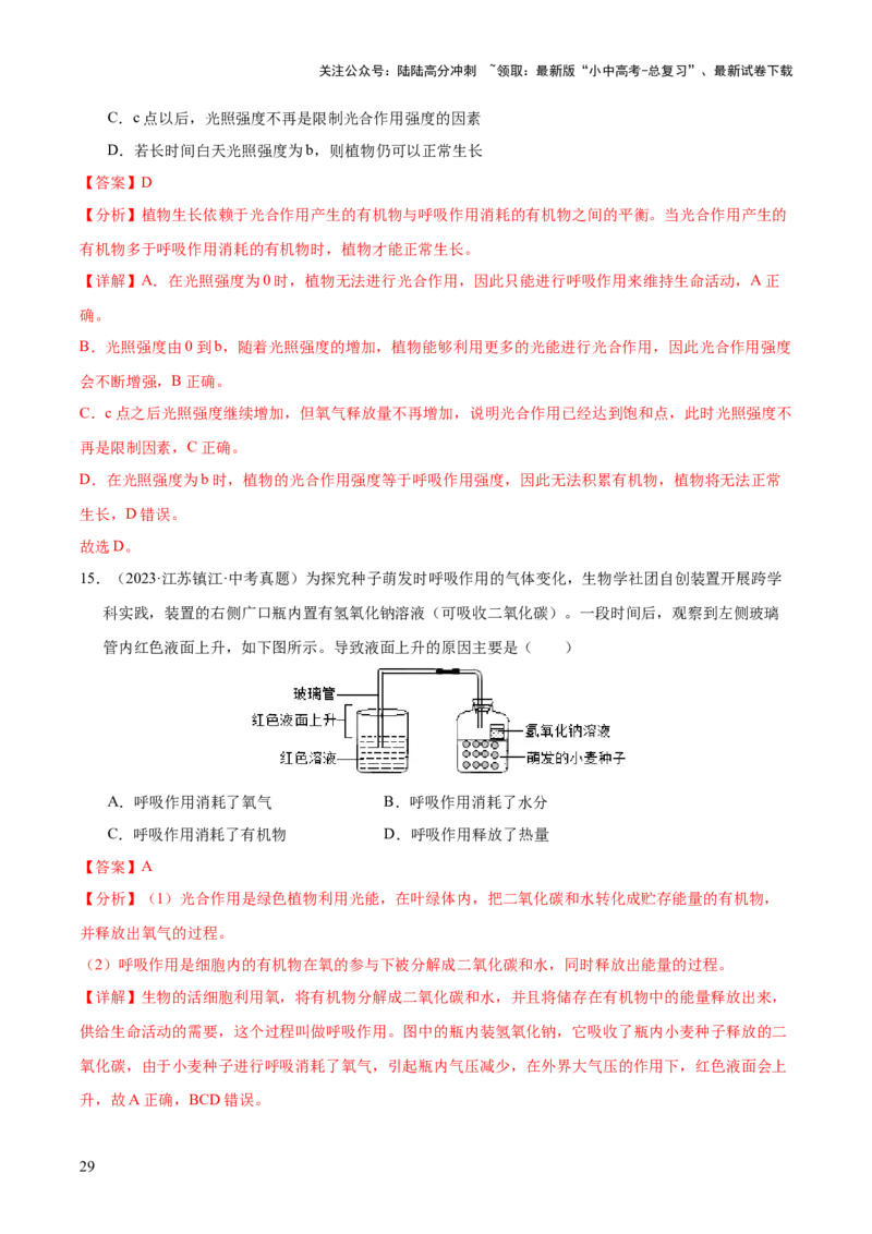 专题04绿色植物的作用（全国通用）（解析版）_02中考总复习（2026版更新中）_08-生物-中考总复习_2026年中考复习（更新中）