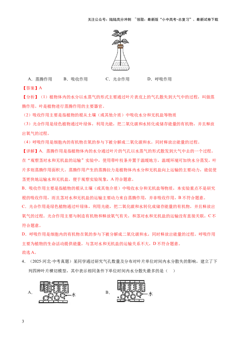 专题04绿色植物的作用（全国通用）（解析版）_02中考总复习（2026版更新中）_08-生物-中考总复习_2026年中考复习（更新中）