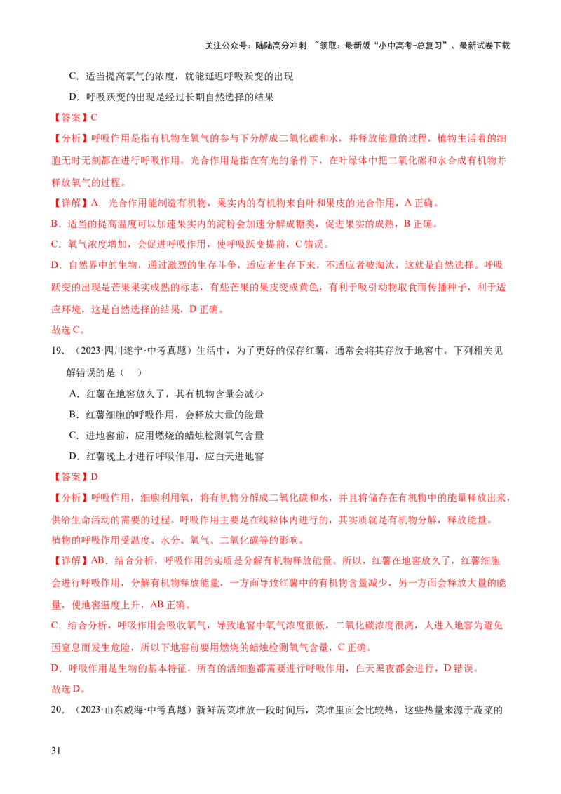 专题04绿色植物的作用（全国通用）（解析版）_02中考总复习（2026版更新中）_08-生物-中考总复习_2026年中考复习（更新中）