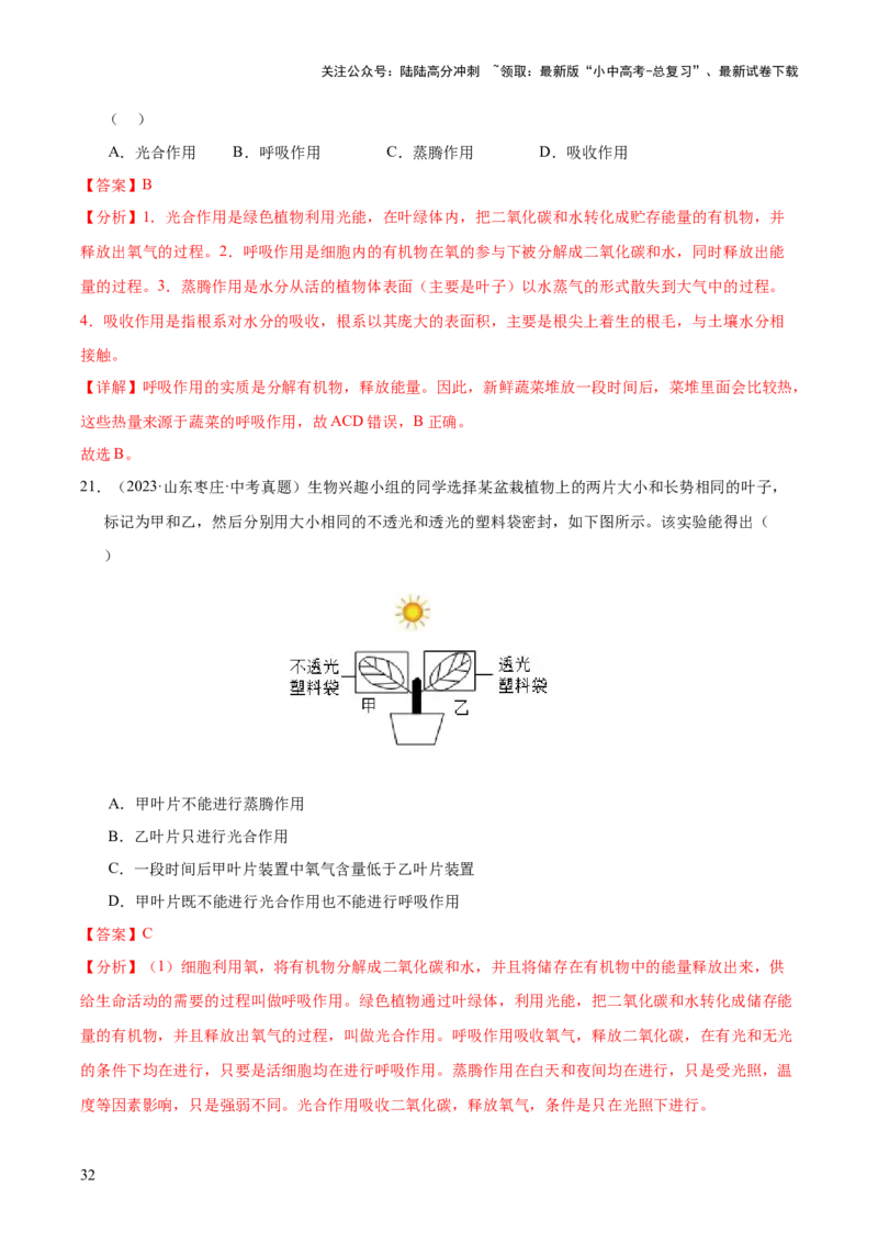 专题04绿色植物的作用（全国通用）（解析版）_02中考总复习（2026版更新中）_08-生物-中考总复习_2026年中考复习（更新中）