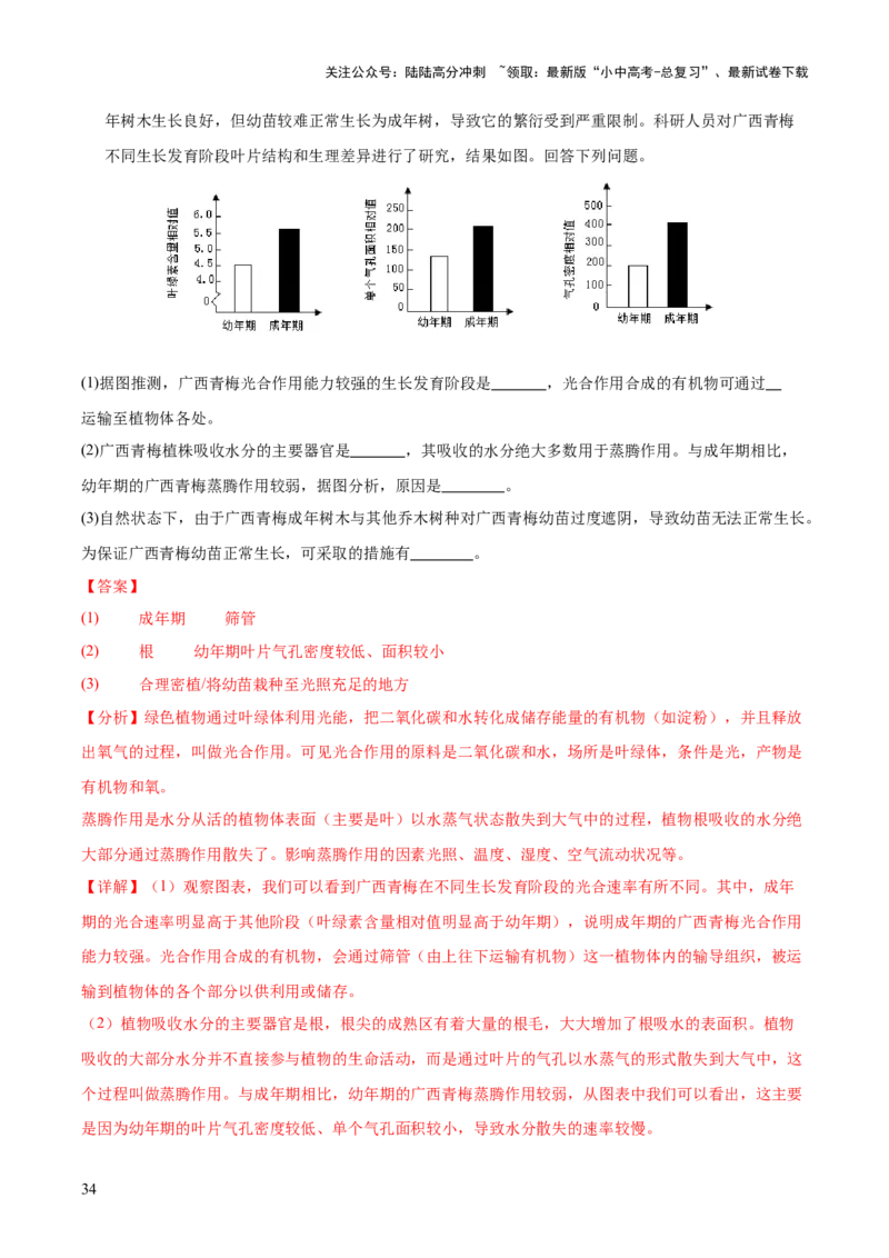 专题04绿色植物的作用（全国通用）（解析版）_02中考总复习（2026版更新中）_08-生物-中考总复习_2026年中考复习（更新中）