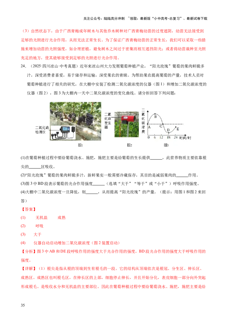 专题04绿色植物的作用（全国通用）（解析版）_02中考总复习（2026版更新中）_08-生物-中考总复习_2026年中考复习（更新中）