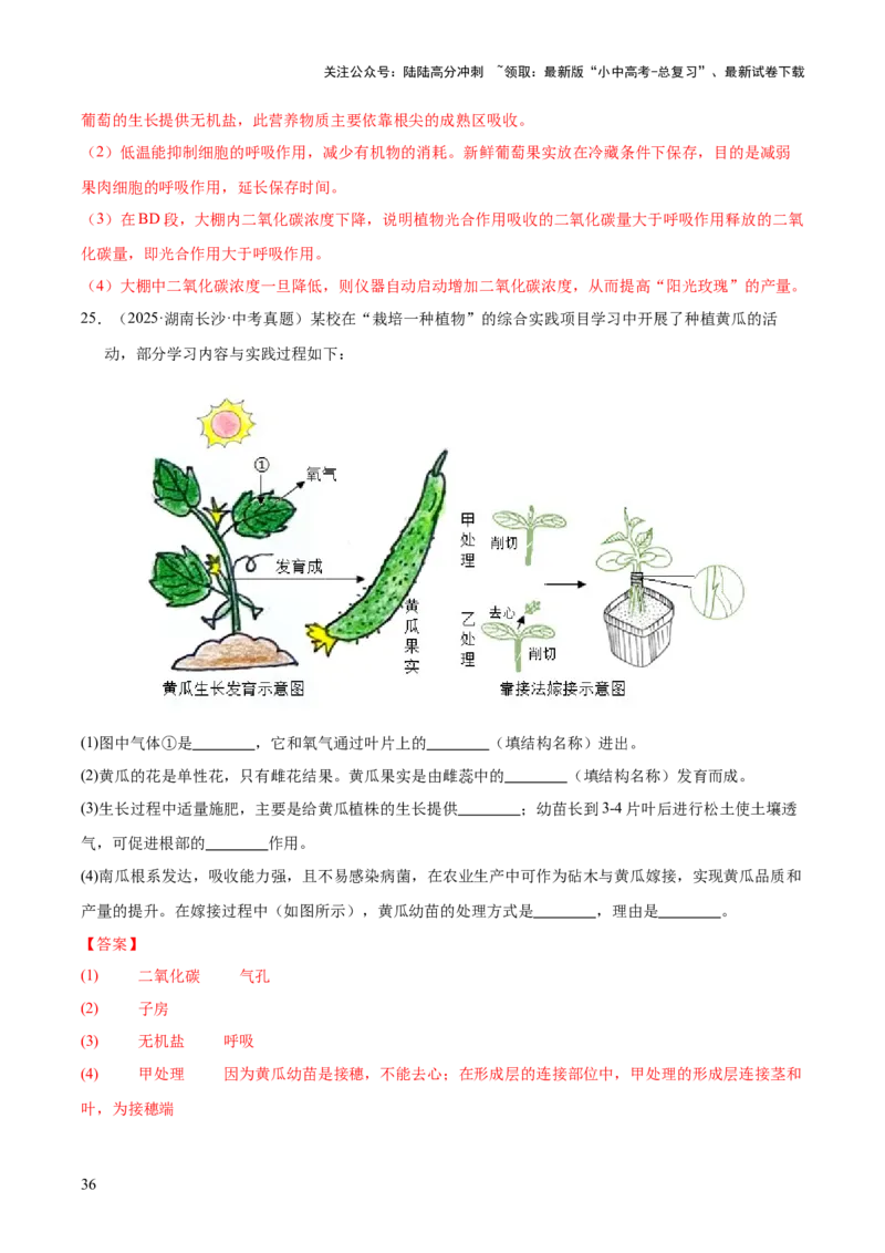 专题04绿色植物的作用（全国通用）（解析版）_02中考总复习（2026版更新中）_08-生物-中考总复习_2026年中考复习（更新中）