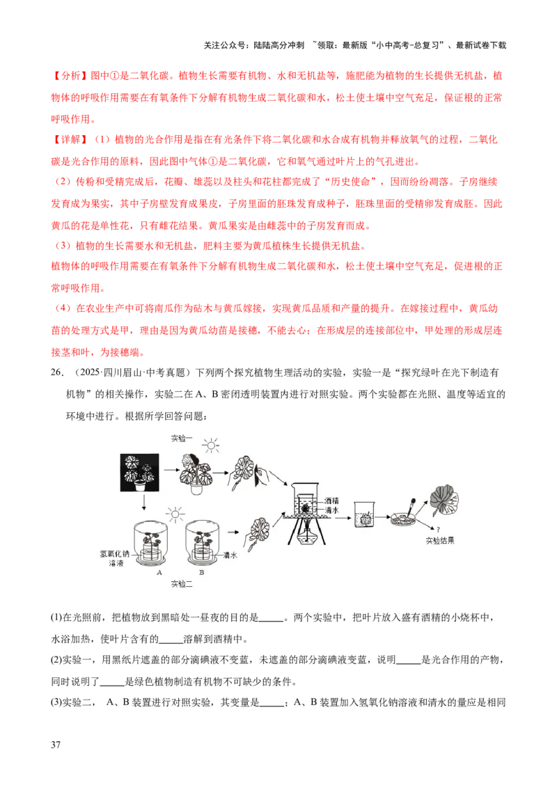 专题04绿色植物的作用（全国通用）（解析版）_02中考总复习（2026版更新中）_08-生物-中考总复习_2026年中考复习（更新中）