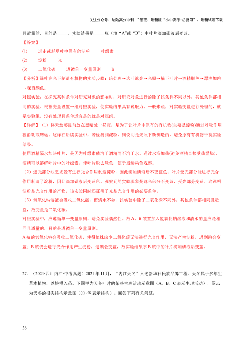 专题04绿色植物的作用（全国通用）（解析版）_02中考总复习（2026版更新中）_08-生物-中考总复习_2026年中考复习（更新中）