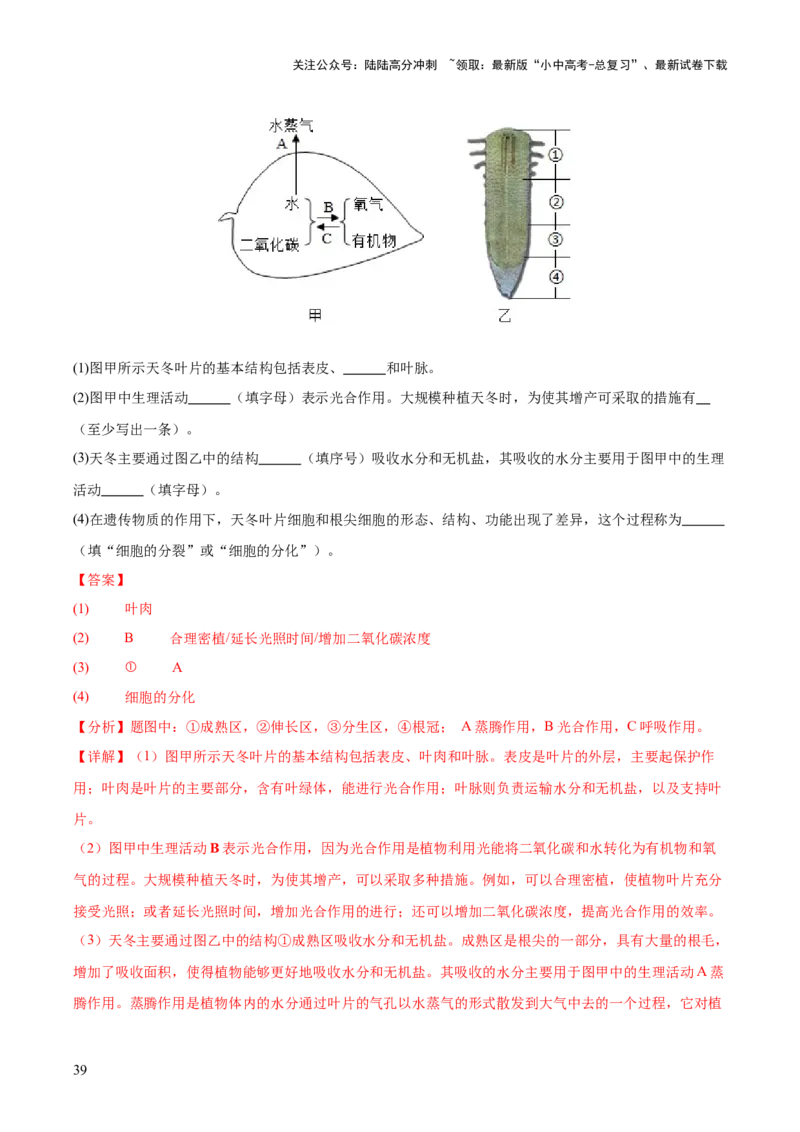 专题04绿色植物的作用（全国通用）（解析版）_02中考总复习（2026版更新中）_08-生物-中考总复习_2026年中考复习（更新中）