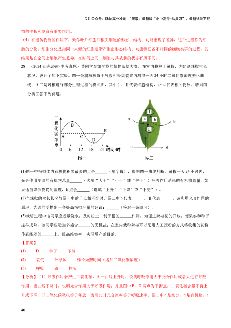 专题04绿色植物的作用（全国通用）（解析版）_02中考总复习（2026版更新中）_08-生物-中考总复习_2026年中考复习（更新中）