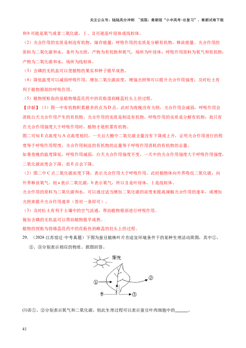 专题04绿色植物的作用（全国通用）（解析版）_02中考总复习（2026版更新中）_08-生物-中考总复习_2026年中考复习（更新中）