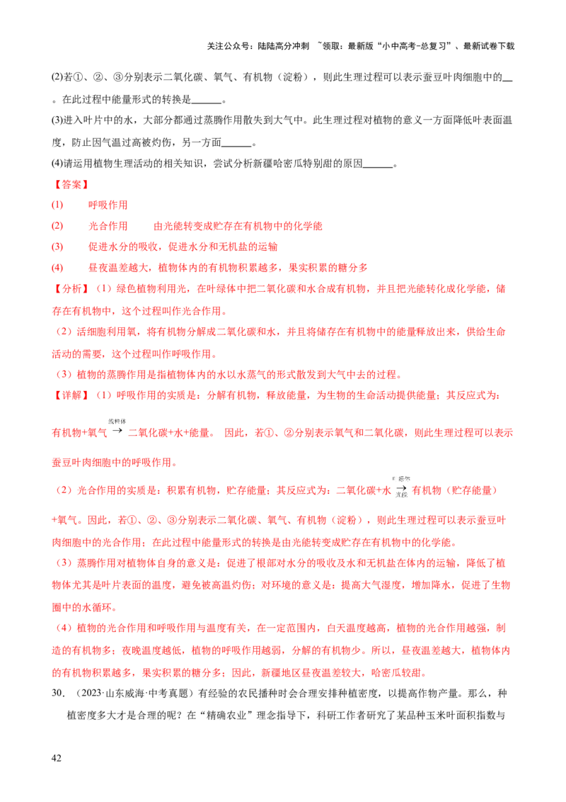 专题04绿色植物的作用（全国通用）（解析版）_02中考总复习（2026版更新中）_08-生物-中考总复习_2026年中考复习（更新中）