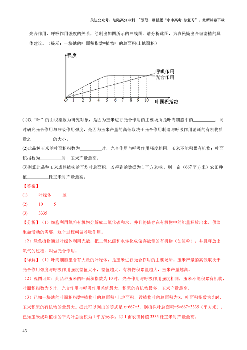 专题04绿色植物的作用（全国通用）（解析版）_02中考总复习（2026版更新中）_08-生物-中考总复习_2026年中考复习（更新中）