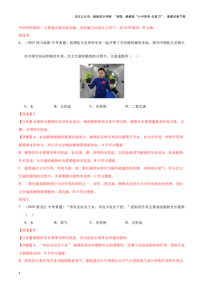 专题04绿色植物的作用（全国通用）（解析版）_02中考总复习（2026版更新中）_08-生物-中考总复习_2026年中考复习（更新中）