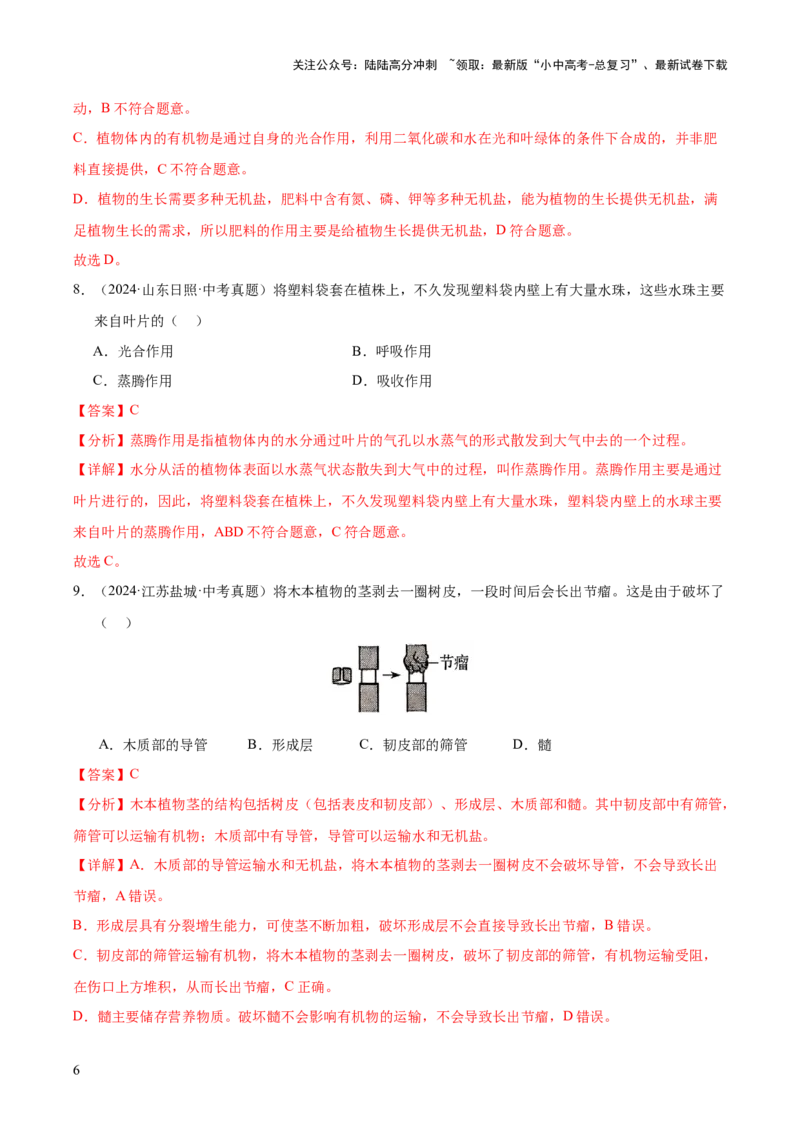专题04绿色植物的作用（全国通用）（解析版）_02中考总复习（2026版更新中）_08-生物-中考总复习_2026年中考复习（更新中）